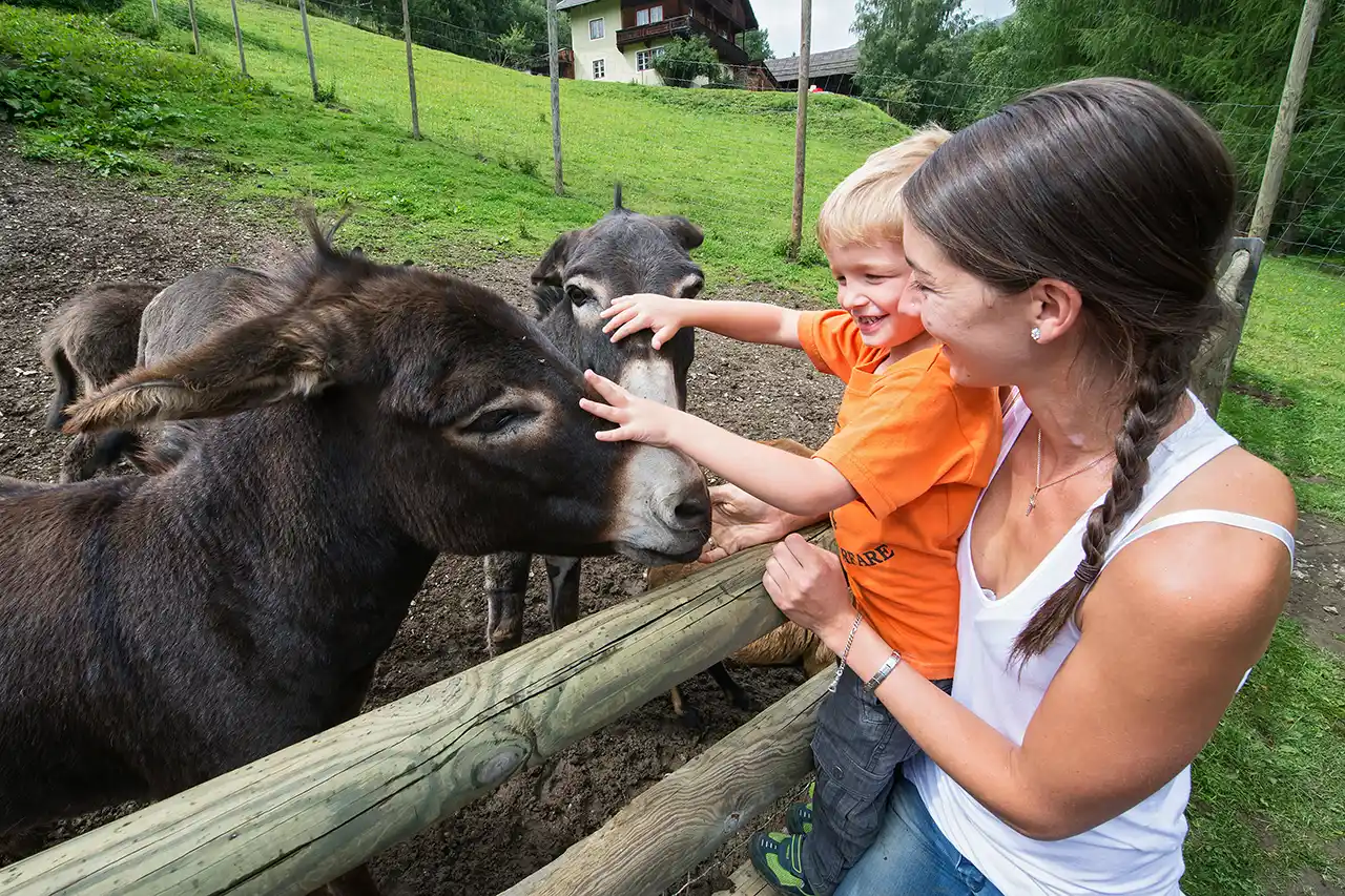 ferienhaus sonnenhang wildpark