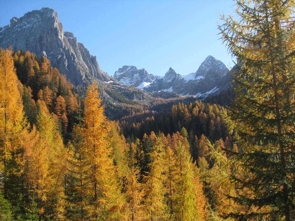 Goldener Herbst in Osttirol