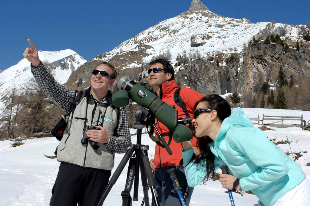 Nature Watch: Winterwanderung mit Wildbeobachtung in Kals